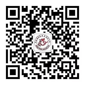 培生龙舟助力2019“张江杯”龙舟赛