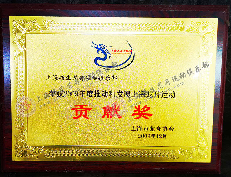 2009年度推动和发展上海龙舟运动贡献奖